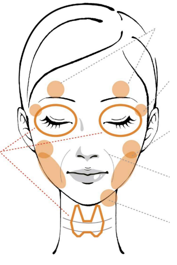 Face Diagram